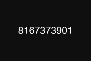 8167373901