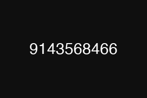 9143568466